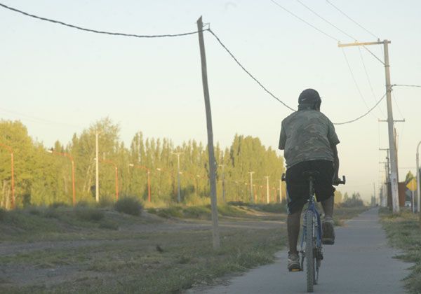 Preparan forestación de la ciclovía