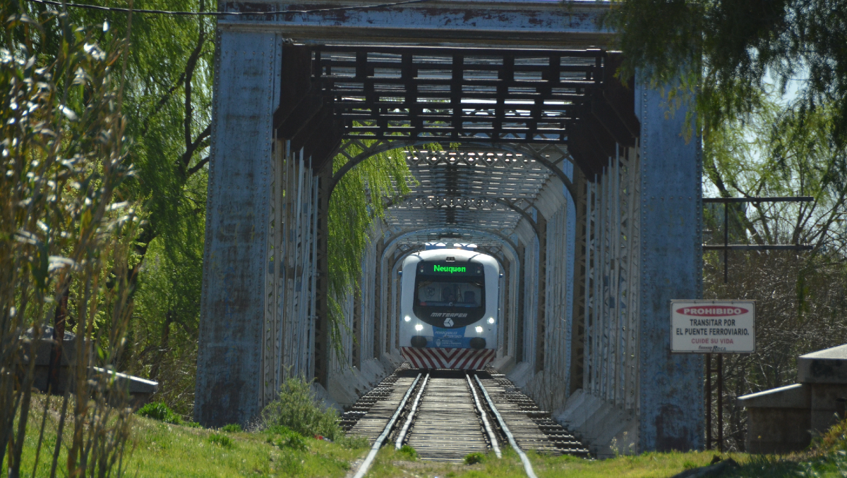 ¿Por qué sigue parado el tren Neuquén-Cipolletti?