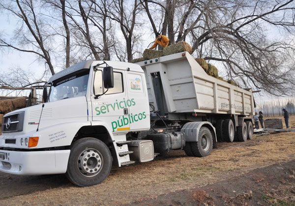 Continúa la ayuda para la Línea Sur