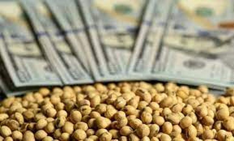 Los dólares de la cosecha gruesa. Allí están puestas todas las esperanzas del Gobierno para domar al mercado cambiario.