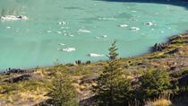 Un grupo de turistas brasileños fueron infraccionados en el Parque Nacional Nahuel Huapi. Un grupo de turistas brasileños fueron infraccionados en el Parque Nacional Nahuel Huapi.