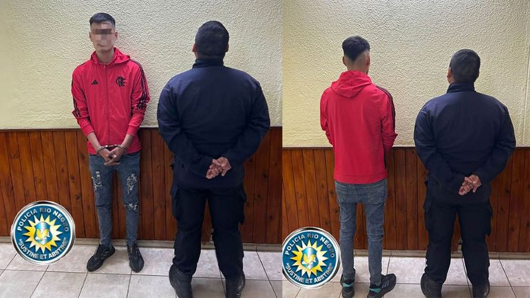 Robó un auto de un garaje y lo atraparon cuando intentaba esconderlo