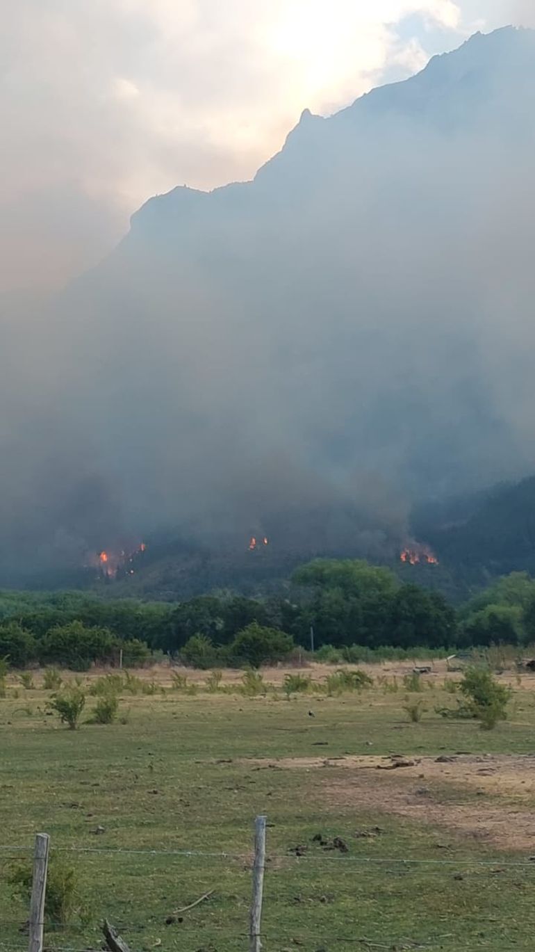 Pucheta relató que vieron a tres personas iniciar tres focos de incendio en el Cañadón Las Arenas en el área del Pedregoso. 