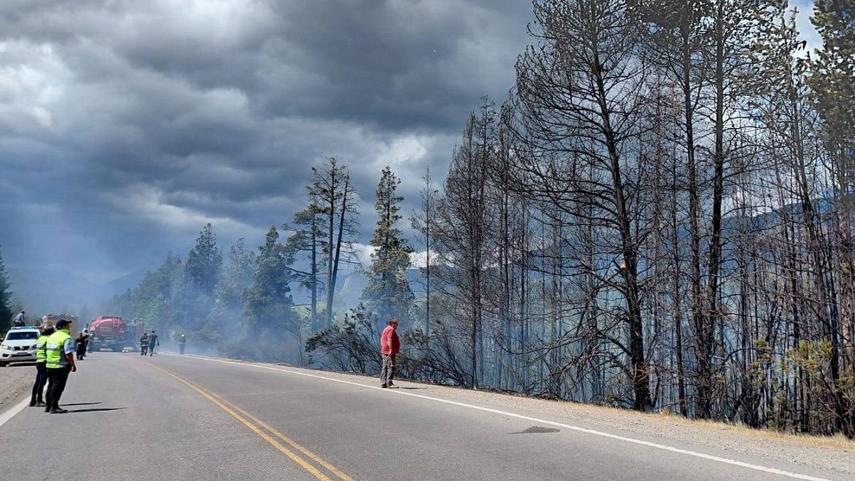 Bmberos, Splif y otros organismos combaten dos incendios en El Bolsón.