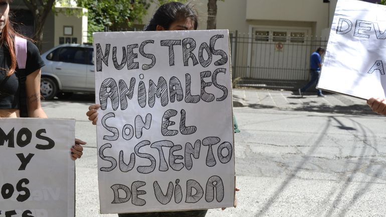 La comunidad Retamal se encadenó en el Municipio para exigir que devuelvan sus animales