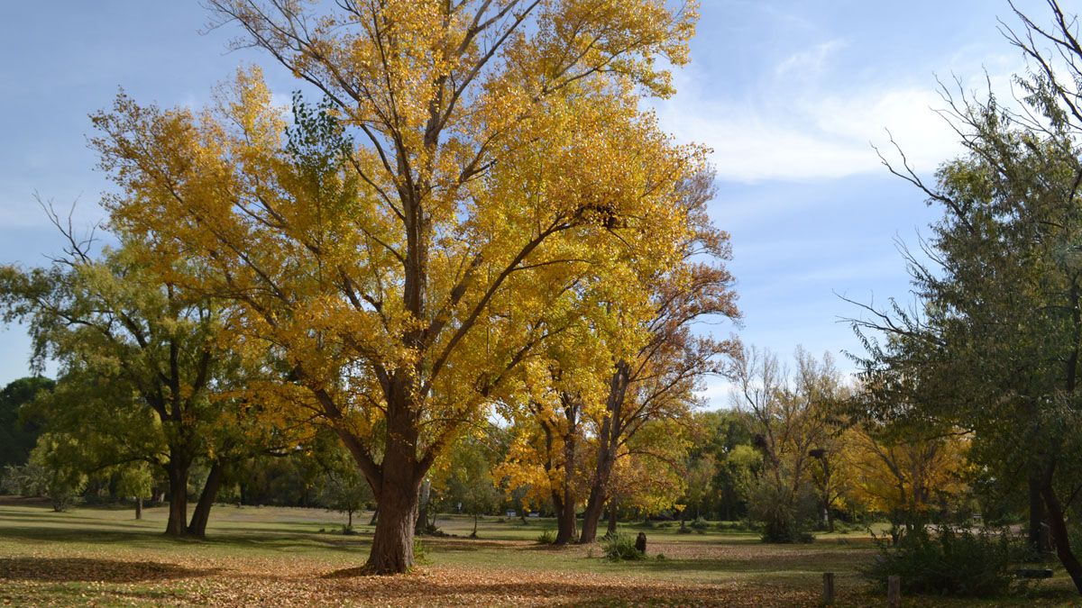 La llegada del otoño a Cipolletti trajo temperaturas frescas.&nbsp;