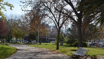 ¿el viento arruina el domingo? detalles del pronostico para el alto valle