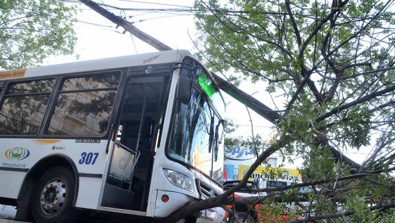 Micro sin control terminó dentro de la plaza San Martín