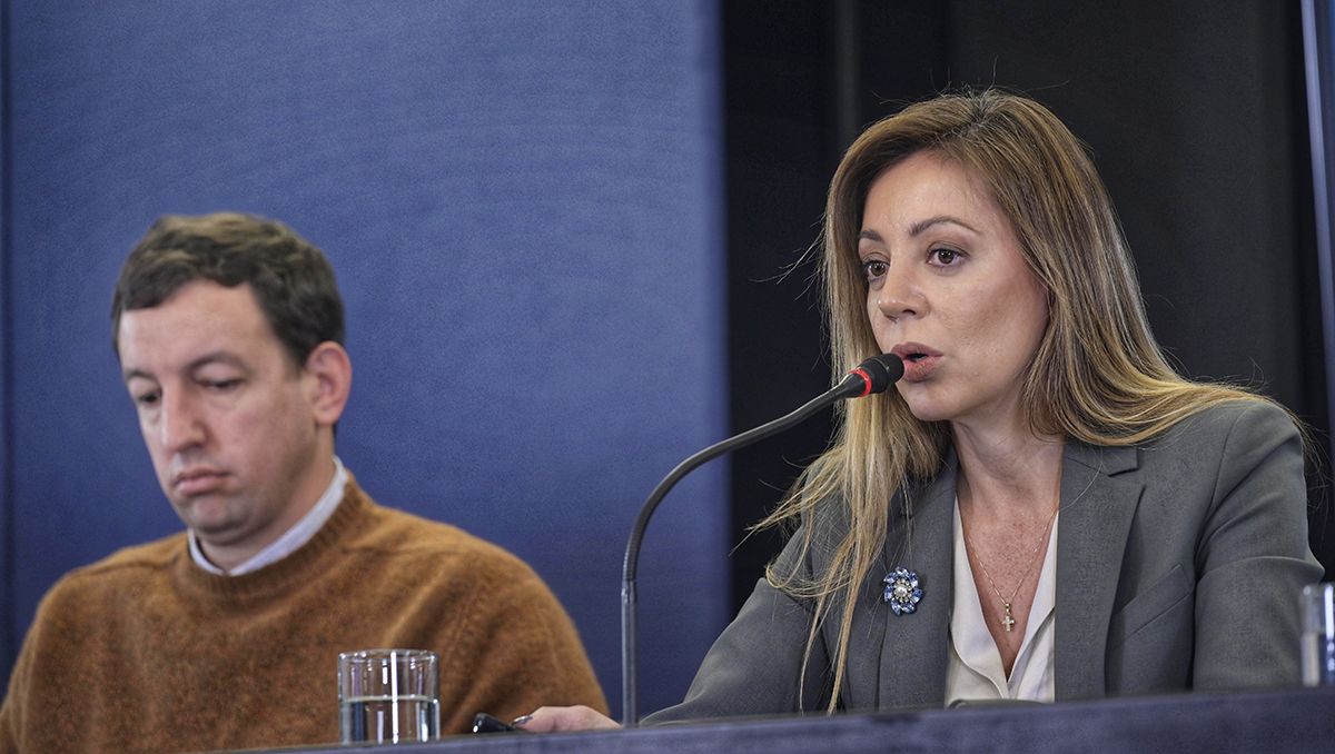 Gobierno dio detalles de la nueva segmentación de tarifas