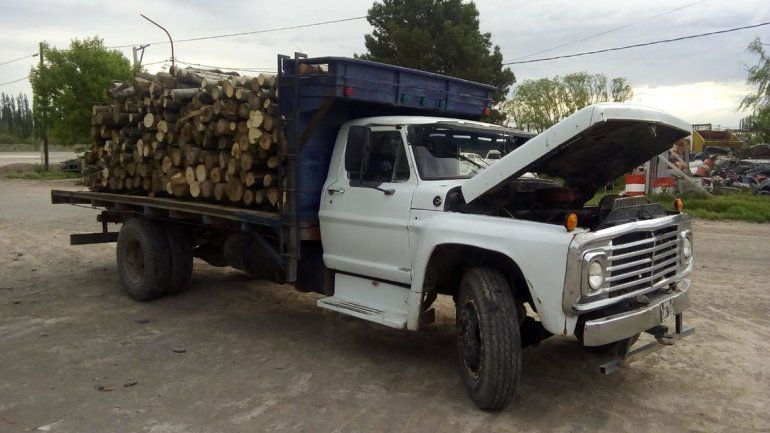 Secuestraron cinco toneladas de álamo ilegales en puesto caminero