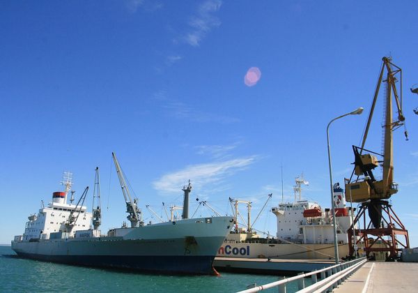 Río Negro participará en forma permanente del Consejo Portuario Argentino