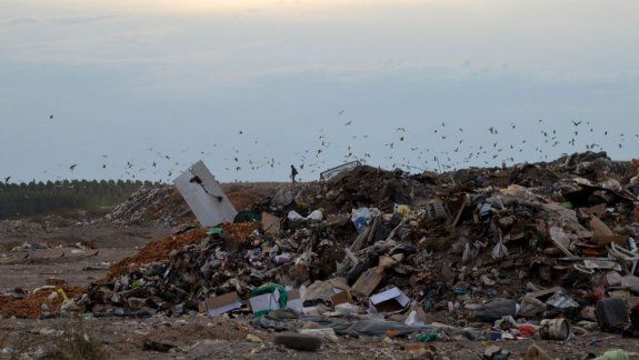 El basural de la ciudad se ha convertido en un lugar dantesco.