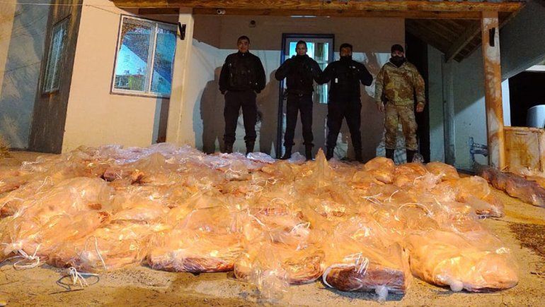 Decomisaron carne y retuvieron un camión que transportaba caballos ilegalmente