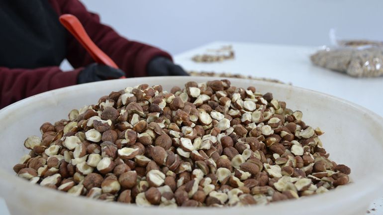 Todo es saludable y libre de gluten.