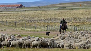 Campos patagónicos: la Ley 26.737 limita hoy la compra de tierra rural por extranjeros. | LMCipolletti.com Campos patagónicos: la Ley 26.737 limita hoy la compra de tierra rural por extranjeros.