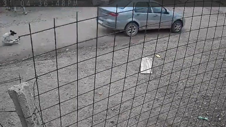 El auto pasa tan rápido que no se alcanza a ver la patente.&nbsp;