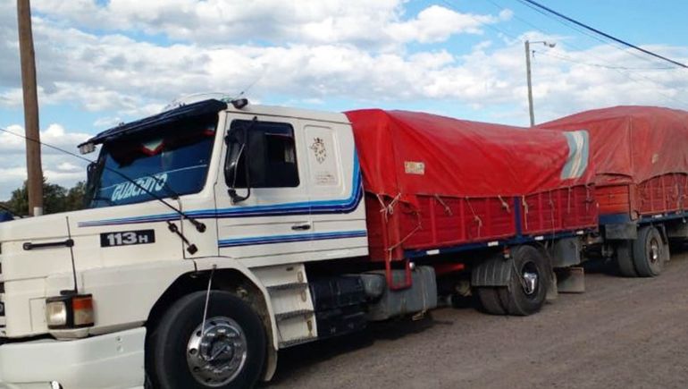 Secuestran 25 toneladas de leña de contrabando