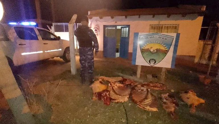 Iba a Cipolletti con 100 kilos de carne escondidos en la camioneta: le decomisaron todo