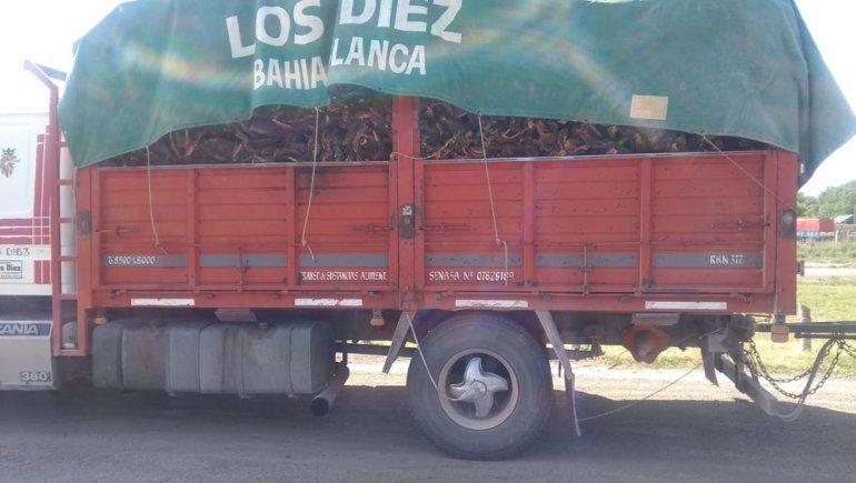 Lo atraparon sobre la Ruta 22 transportando leña de manera ilegal