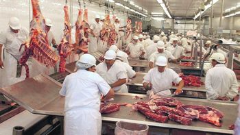 Las estadísticas del sector revelan escenarios opuestos en la Patagonia Norte: Neuquén profundiza la retracción de la actividad frigorífica, mientras Río Negro sostiene los volúmenes de faena pese a un contexto de desaceleración. | LMCipolletti.com Las estadísticas del sector revelan escenarios opuestos en la Patagonia Norte: Neuquén profundiza la retracción de la actividad frigorífica, mientras Río Negro sostiene los volúmenes de faena pese a un contexto de desaceleración.