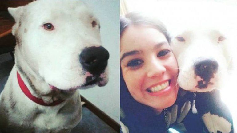 Mari no se desalienta y sigue buscando a su perro Zeus.