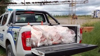 decomisan mas de 300 kilos de carne ilegal decomisan mas de 300 kilos de carne ilegal