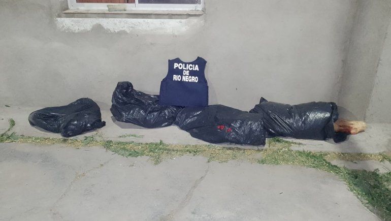 Llevaba 300 kilos de carne en bolsas de nylon y le decomisaron todo