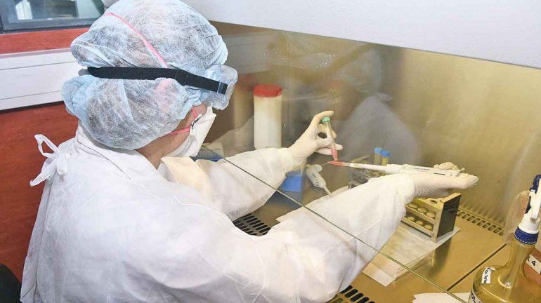 El Malbrán anunció que logró secuenciar el genoma completo del coronavirus