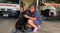 La querida Laica, la perra del cuartel, la que se sumó a Bomberos desde cachorra. La querida Laica, la perra del cuartel, la que se sumó a Bomberos desde cachorra.
