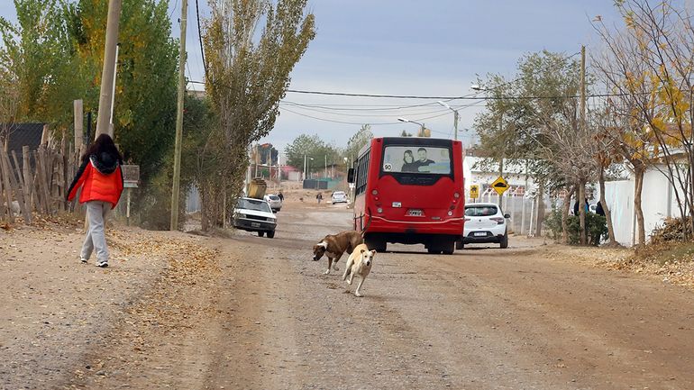 La obra de asfalto mejorará el tránsito entre Río Negro y Neuquén.