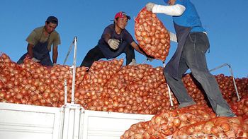 La campaña 2025/26 atraviesa un escenario incierto: sobreoferta, expectativas moderadas y un único mercado que puede definir todo. | LMCipolletti.com La campaña 2025/26 atraviesa un escenario incierto: sobreoferta, expectativas moderadas y un único mercado que puede definir todo.