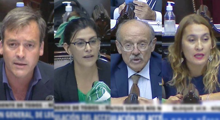 Qué dijeron los diputados rionegrinos sobre el aborto