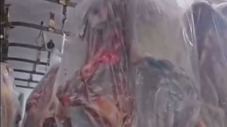 Comenzó a llegar la carne con hueso del norte de la berrera. ¿Cumple con los requisiitos de la resolución del SENASA?