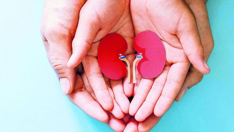 Un verdadero gesto de amor de la ex cuñada que ayudará a mejorar una vida.
