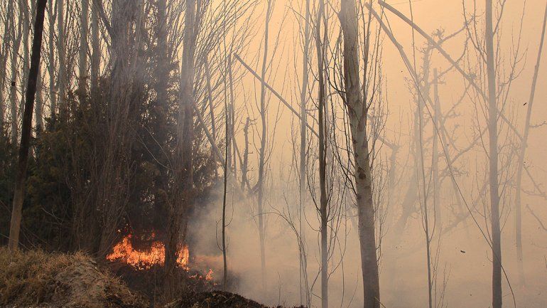 El fuego y el viento causaron estragos en la zona rural