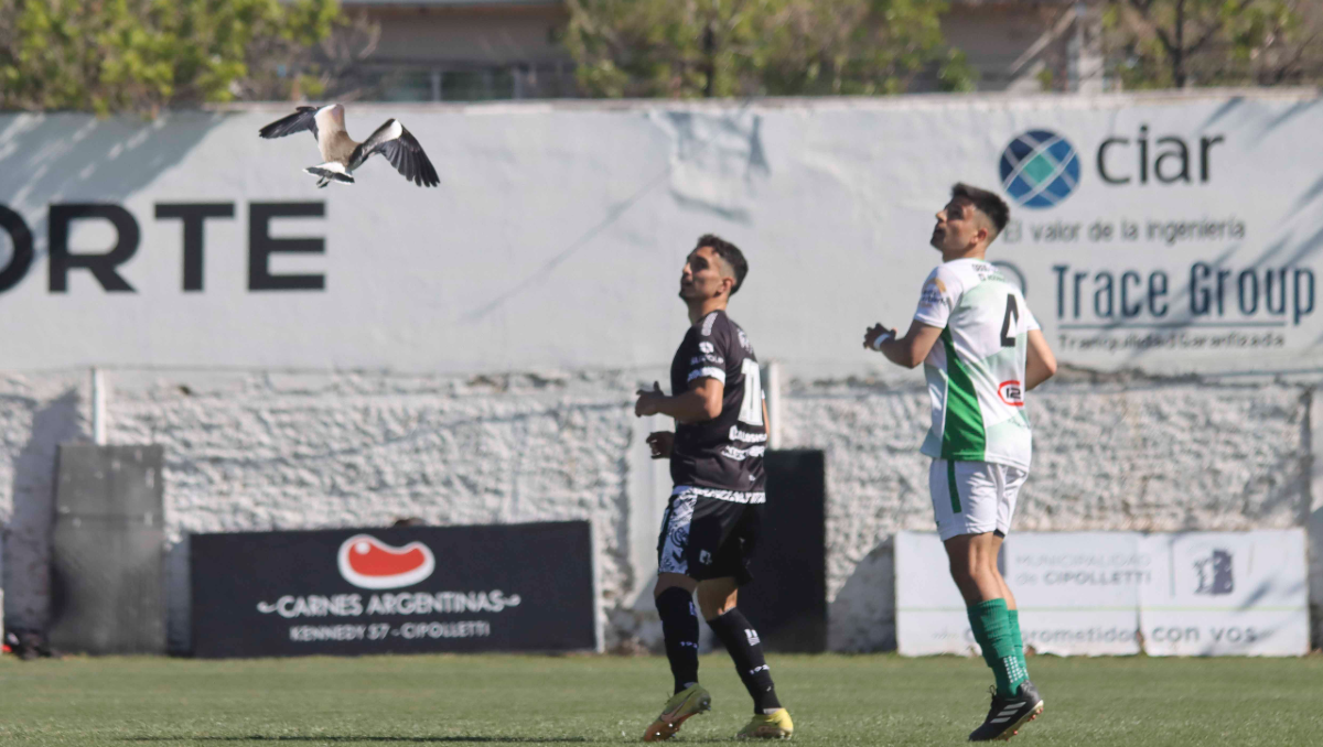 El tero sale volando durante el primer tiempo del partido entre Cipolletti y Germinal. Fotos: Anahí Cárdena