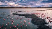 La laguna que revivió tras 12 años y recuperó su encanto natural: cómo llegar a la belleza rionegrina del milagro. La laguna que revivió tras 12 años y recuperó su encanto natural: cómo llegar a la belleza rionegrina del milagro.