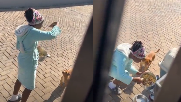 Video: así descubrió que su hija comía el alimento del perro a escondidas