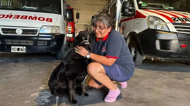 La querida Laica