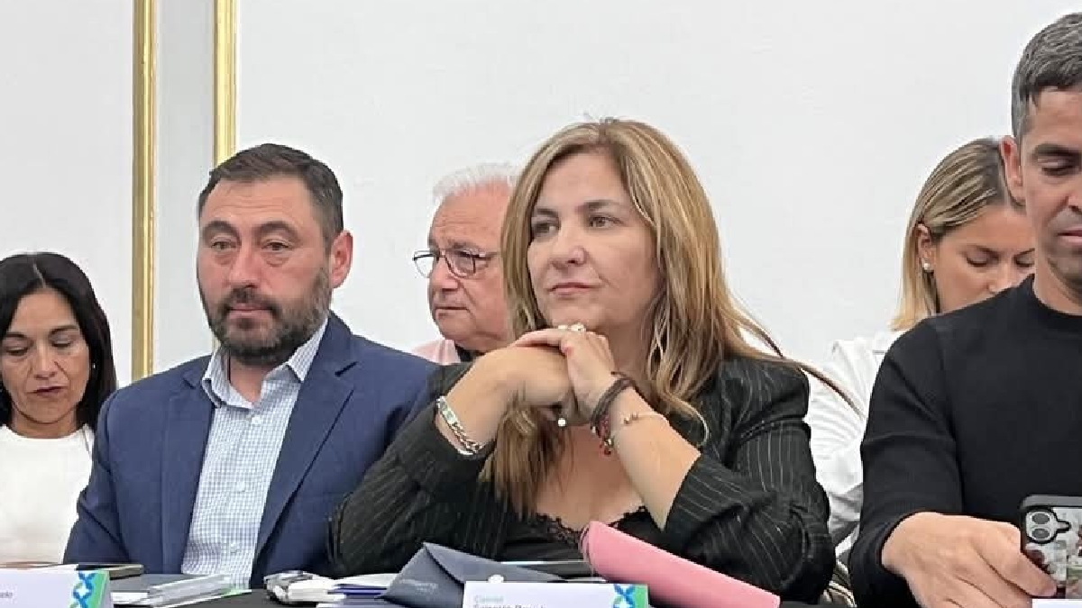 La intendenta Daniela Salzotto, solicitó que se revea la medida que contempla la reducción del 50% de regalías petroleras que recibe la localidad.&nbsp;