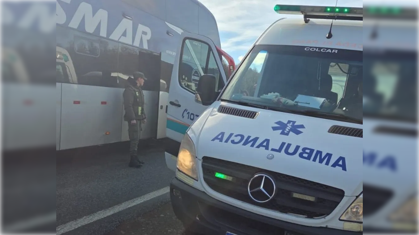 El colectivo se detuvo a un costado de la ruta y la asistencia fue inmediata. Foto gentileza El Cordillerano.