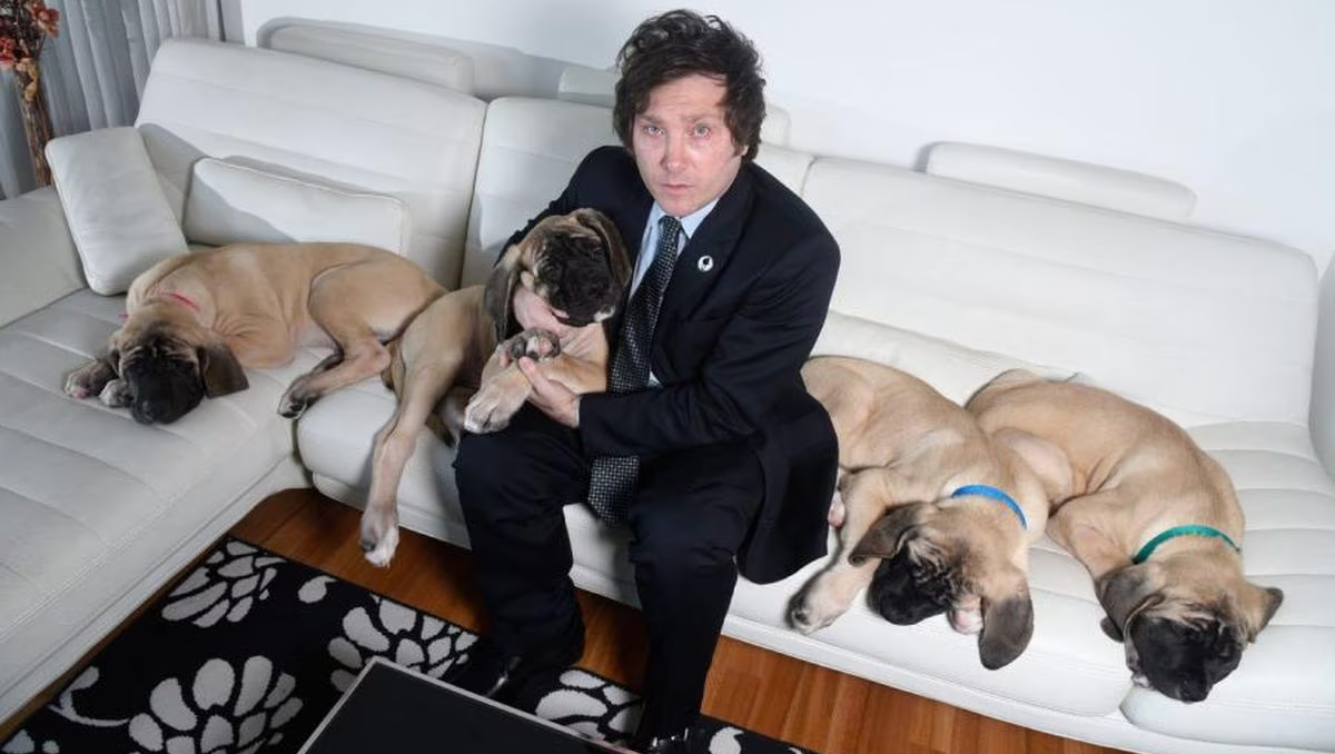 Javier Milei mostró el avance de los caniles para sus perros en Olivos
