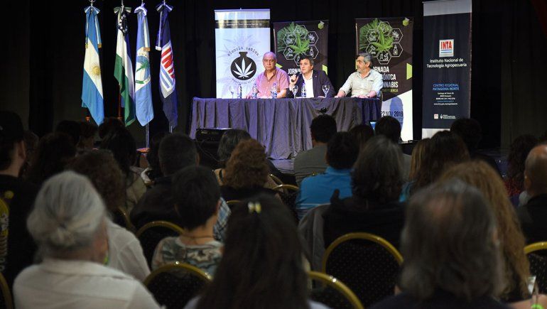 El cannabis de uso medicinal fue eje de debate en Cipolletti