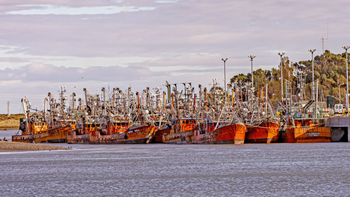 La iniciativa amplía causales de suspensión, establece caducidad automática por quiebra e incorpora un régimen de Ficha Limpia para permisos de pesca en Chubut. Foto: Cholila online. | LMCipolletti.com La iniciativa amplía causales de suspensión, establece caducidad automática por quiebra e incorpora un régimen de Ficha Limpia para permisos de pesca en Chubut. Foto: Cholila online.