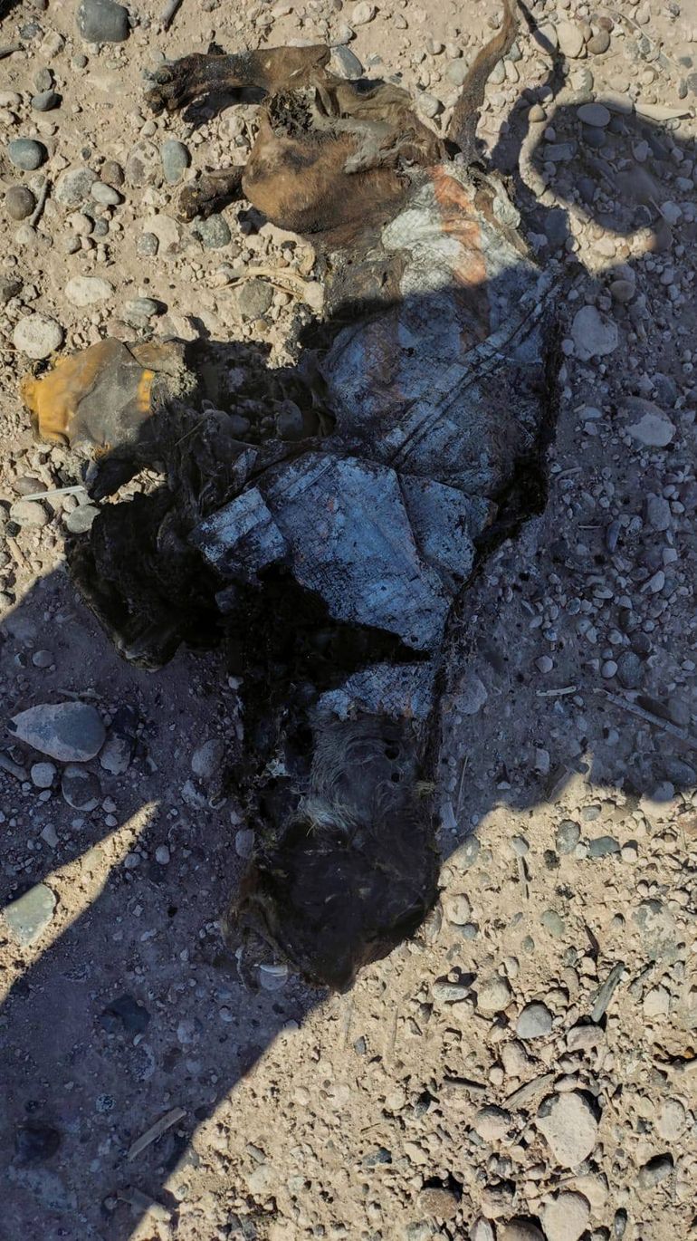 Imágenes sensibles. 