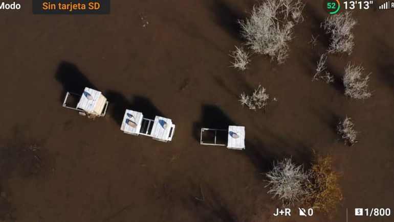 Crecidas, abejas muertas y colmenas destruidas: pérdidas millonarias