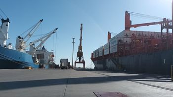 Siete partidas de peras y manzanas, por un total de 202,7 toneladas, fueron observadas durante los controles fitosanitarios rusos y quedaron impedidas de ingresar al territorio aduanero de la UEEA.