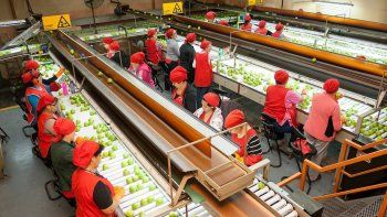 La paritaria de la Fruta fracasó este miécoles. 