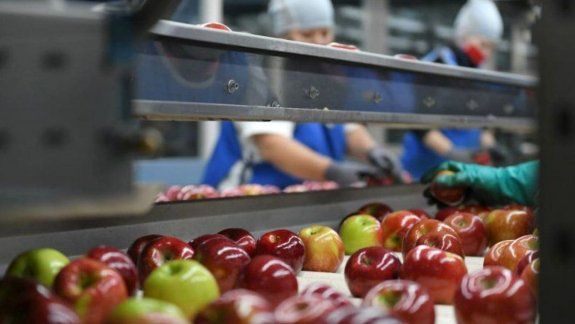 El gremio de la fruta acordó nuevos sueldos de los trabajadores