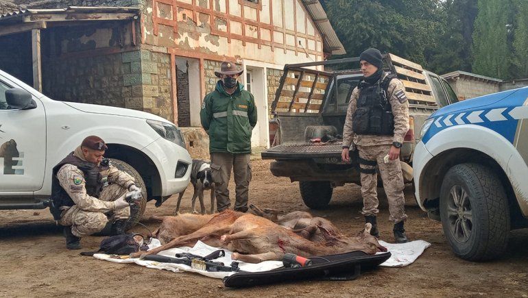 La Policía rionegrina y una exhaustiva lucha contra la faena clandestina